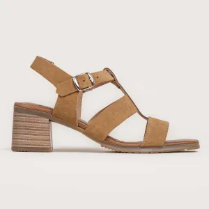 Chestnut - Tan