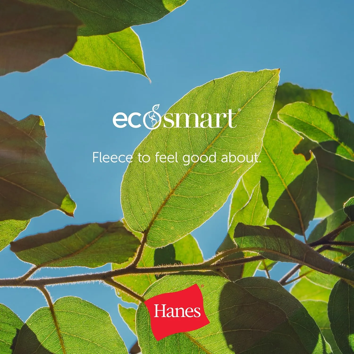 Hanes Boys EcoSmart T-Shirt Pack, Short-Sleeve Tee, Crewneck T-Shirts for Kids, 3-Pack