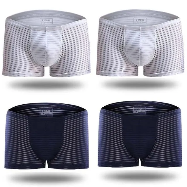 Silky Sheer Striped Boxer Briefs 4-Pack
