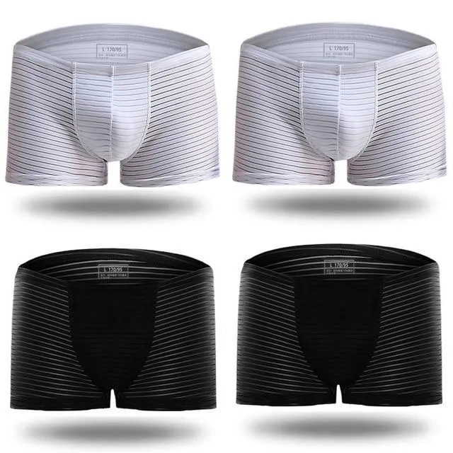 Silky Sheer Striped Boxer Briefs 4-Pack