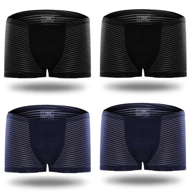 Silky Sheer Striped Boxer Briefs 4-Pack