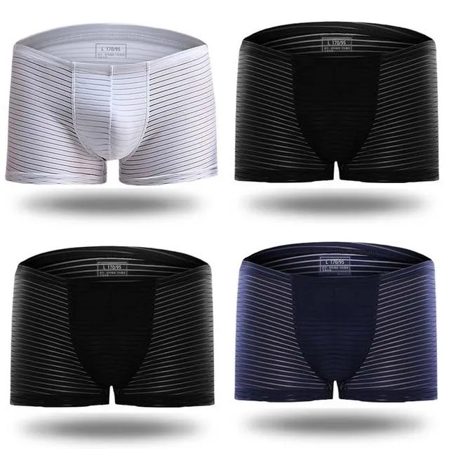 Silky Sheer Striped Boxer Briefs 4-Pack