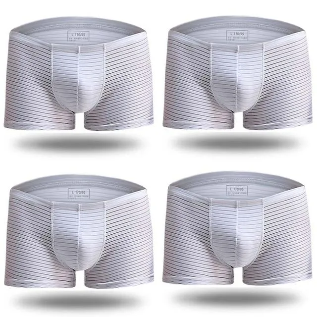 Silky Sheer Striped Boxer Briefs 4-Pack