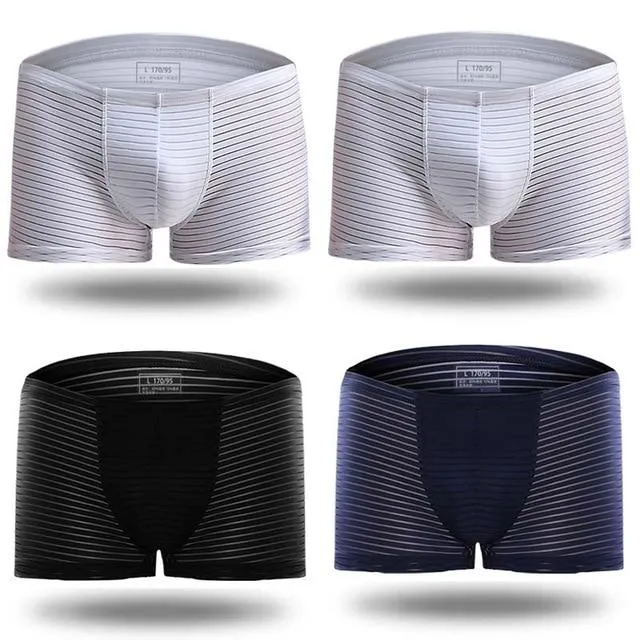 Silky Sheer Striped Boxer Briefs 4-Pack