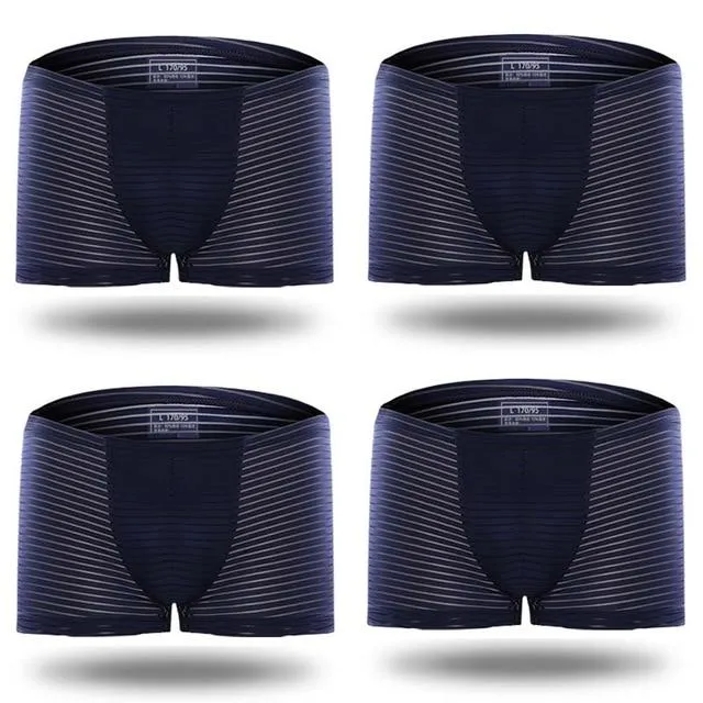 Silky Sheer Striped Boxer Briefs 4-Pack