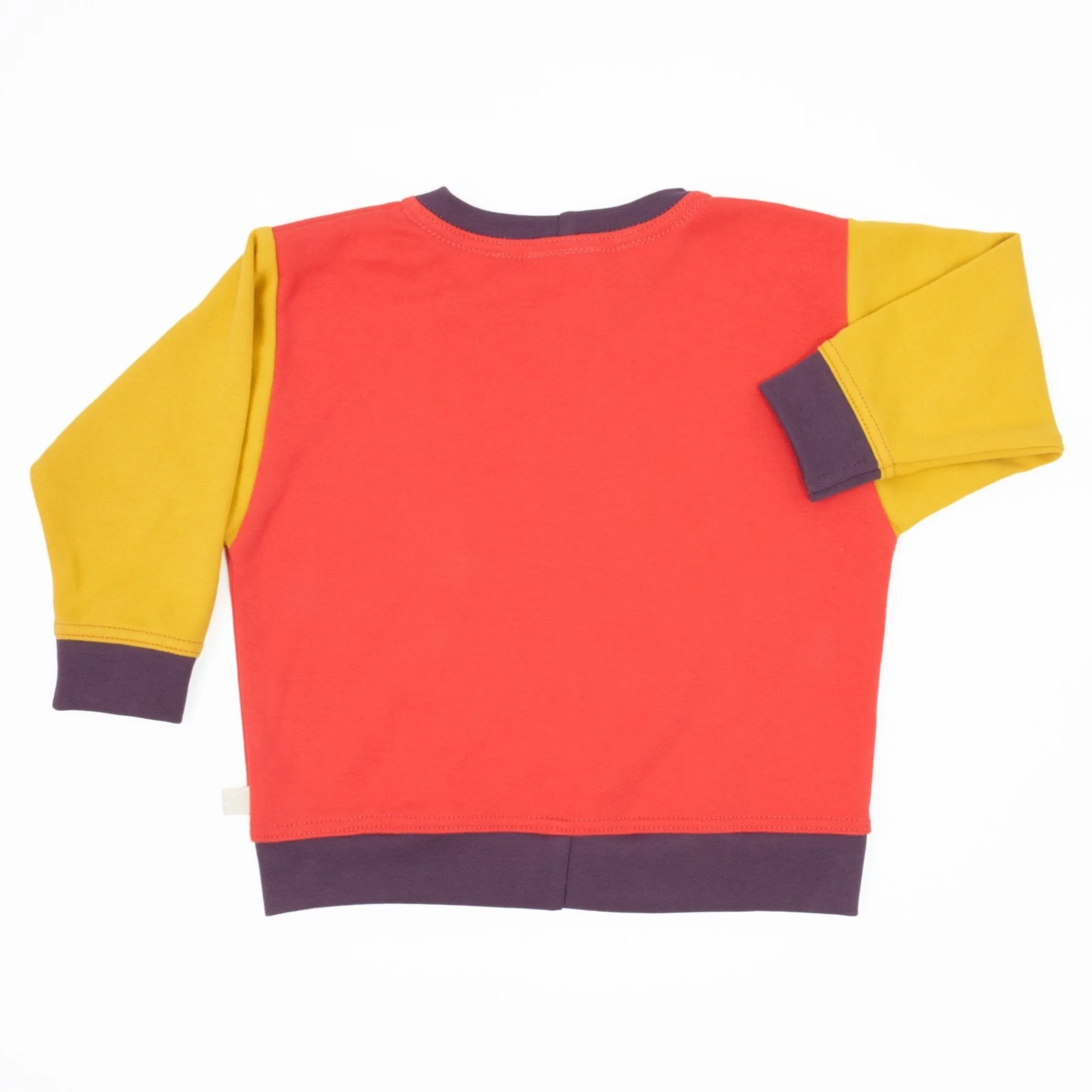 Toddler Colorblock Sweatshirt